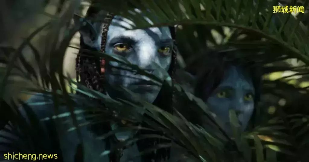 时隔13年后的科幻巨作!《阿凡达:水之道》12月上映,官方首支预告片➕电影海报抢先曝光🤩