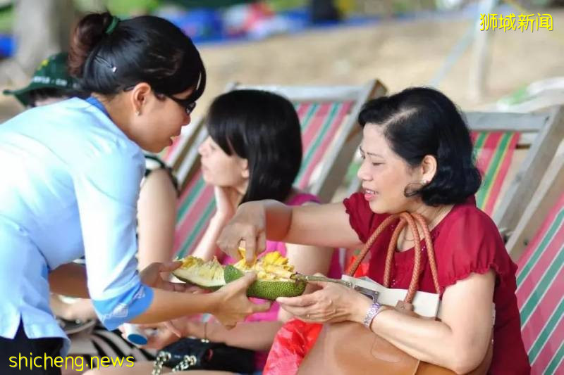 獅城美味 | 又是一年榴梿季：品一品新加坡的榴梿之魅!