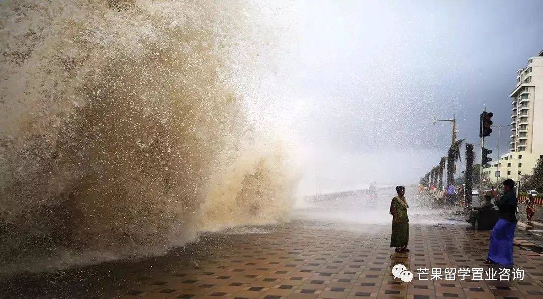 2030年新加坡将变成这样,全岛花园扩建、新建走廊和连道