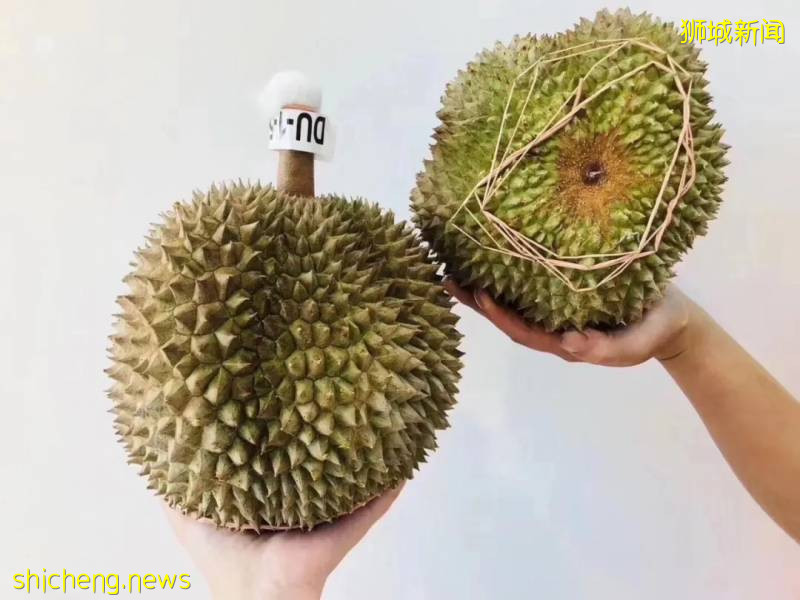 疫情下新加坡榴梿價格更劃算?請查收你的專屬榴梿