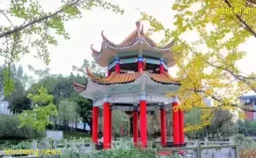 狮城工作马来西亚人士,明年汇款回国恐被征税?中国会吗