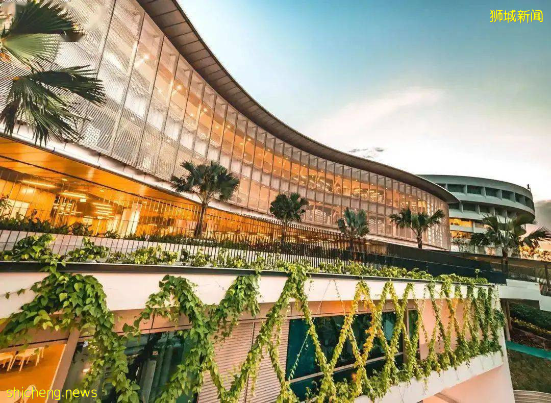 新加坡跻身亞洲十大“最昂貴城市”,留學生在新加坡學習生活開銷如何