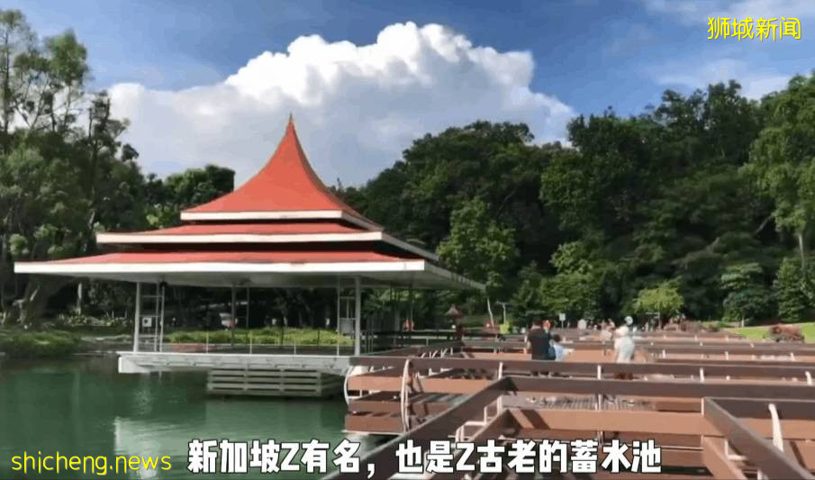 疫情不再宅家!新加坡10个超美户外蓄水池走起~人少风景好