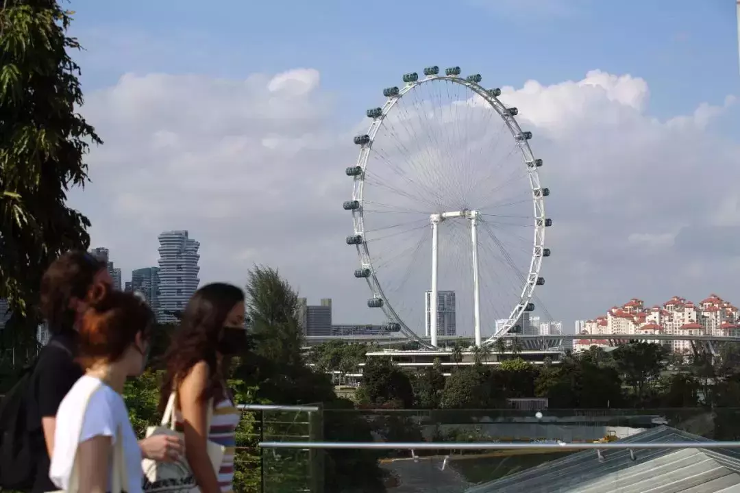 买了票要去新加坡摩天观景轮？可别白跑一趟