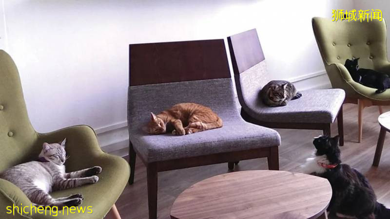 帶孩子去新加坡旅遊,哪些地方值得一去呢!