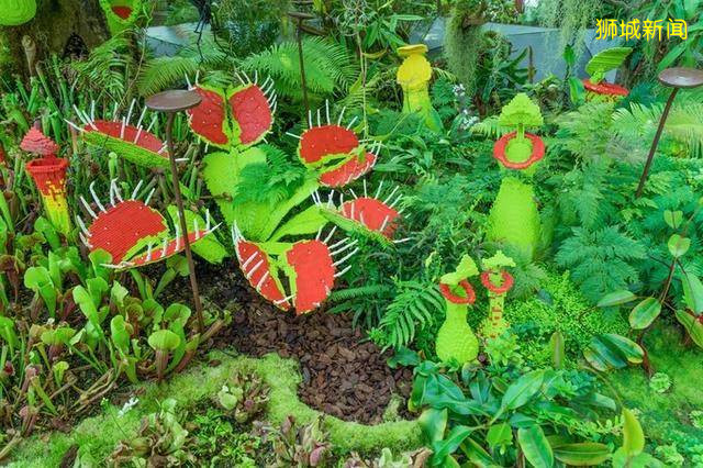 多味缤纷新加坡