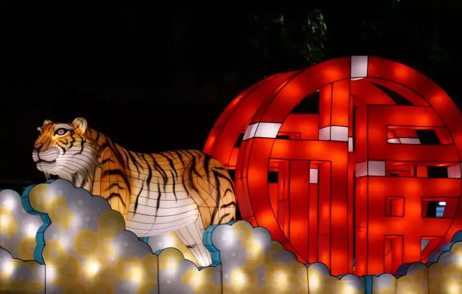 新加坡今年的“虎”點“彪”,居然“妩媚”地對我笑