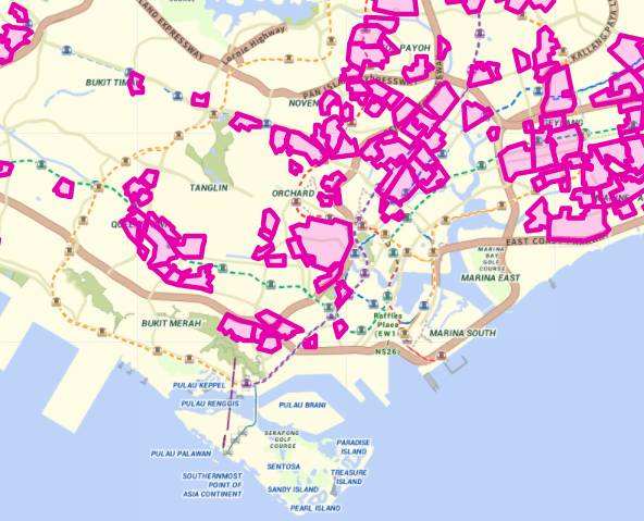 新加坡登革热又双叒叕变严重了!这五个区感染最严重