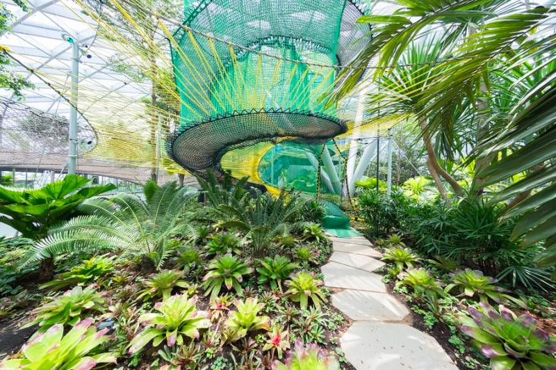 新加坡旅遊終于解禁，出發去北緯1度“心想獅城”