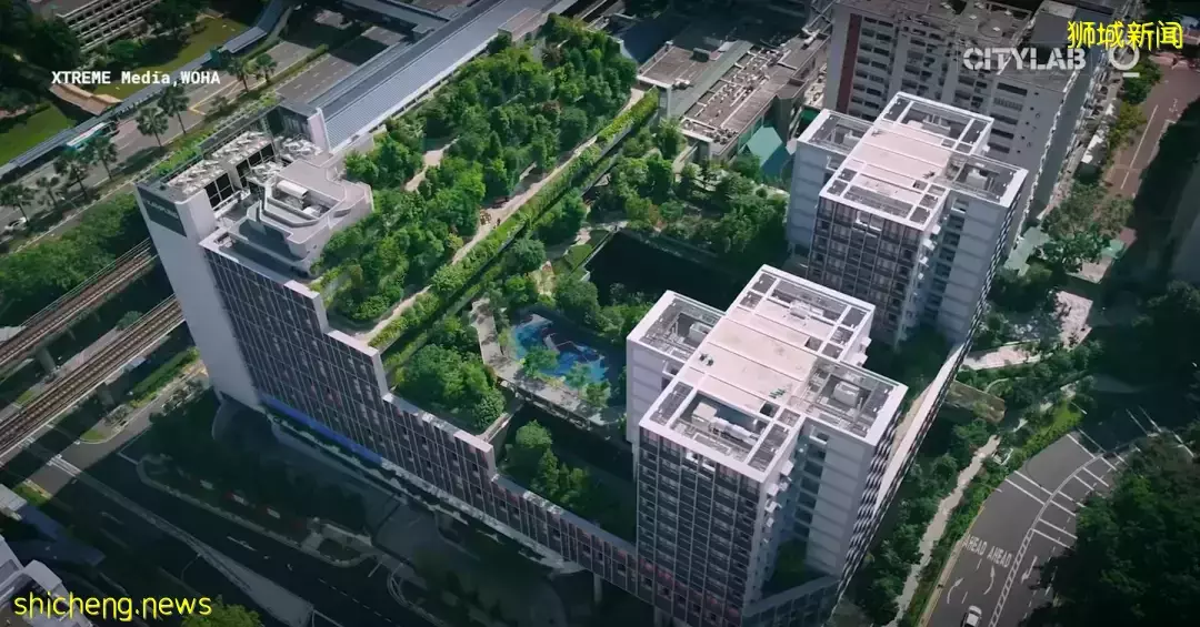 天氣太熱，新加坡開展“冷卻新加坡計劃”