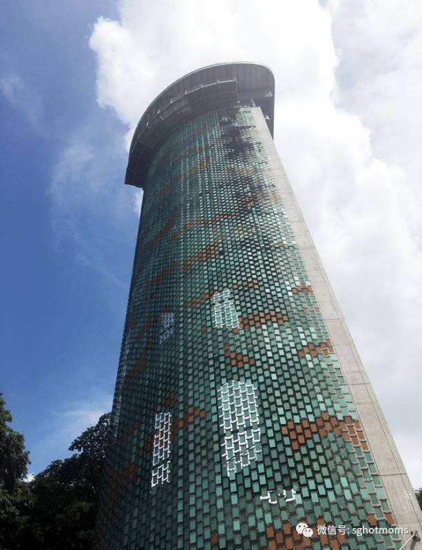 探秘！新加坡10大网红亲子徒步胜地，保证有你没去过的