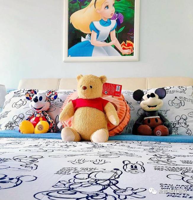 新加坡狂熱收藏家把組屋打造成迷你“迪士尼”，門裏門外兩個世界