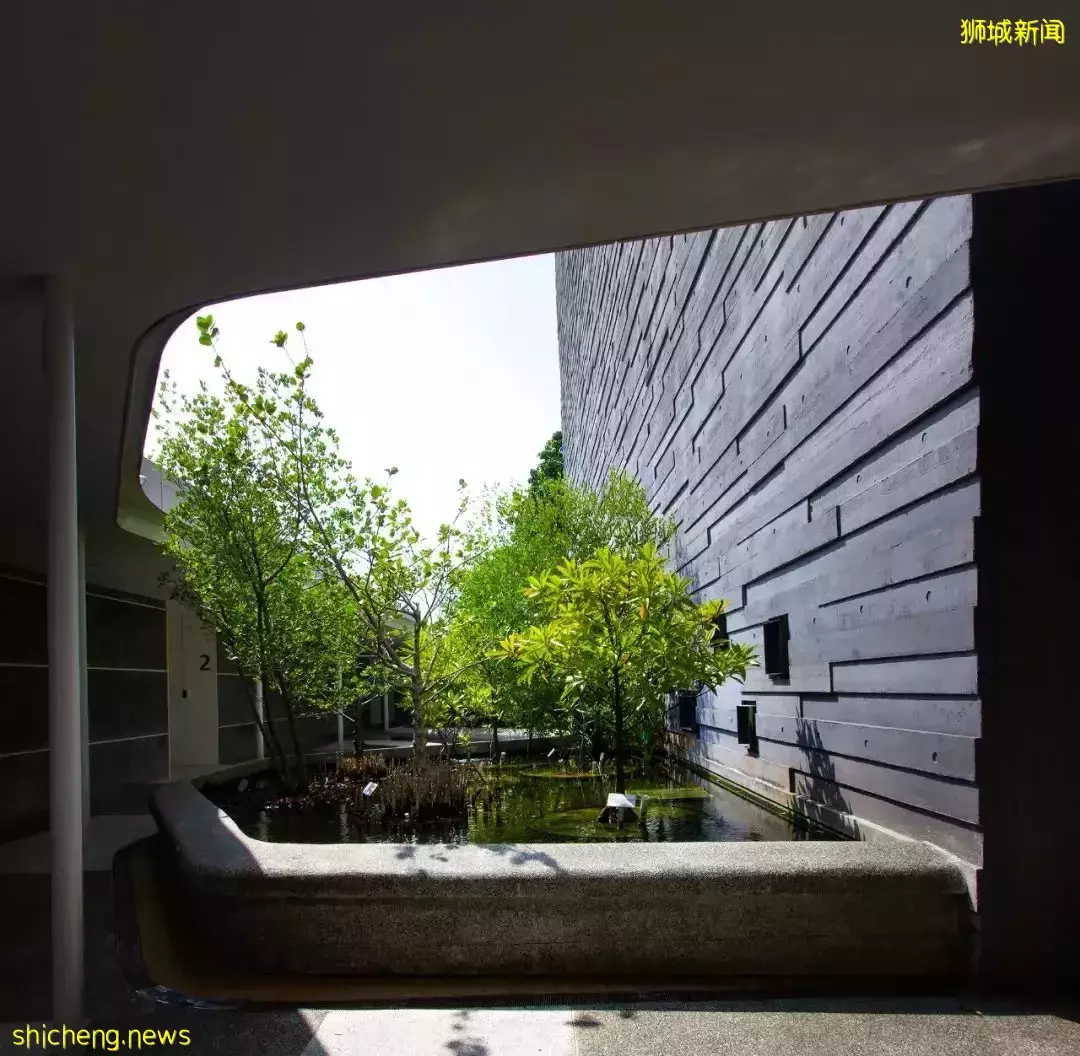 新加坡李光前自然曆史博物館 / Tierra Design (S) Pte Ltd