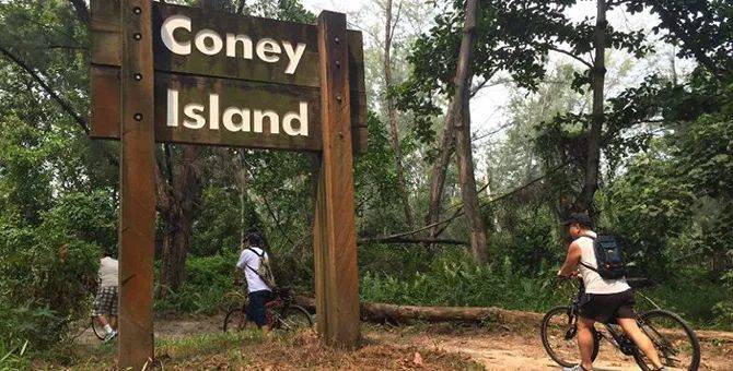 觀鳥、陡坡、嬉水、看夕陽,13條新加坡最美親子騎行路線