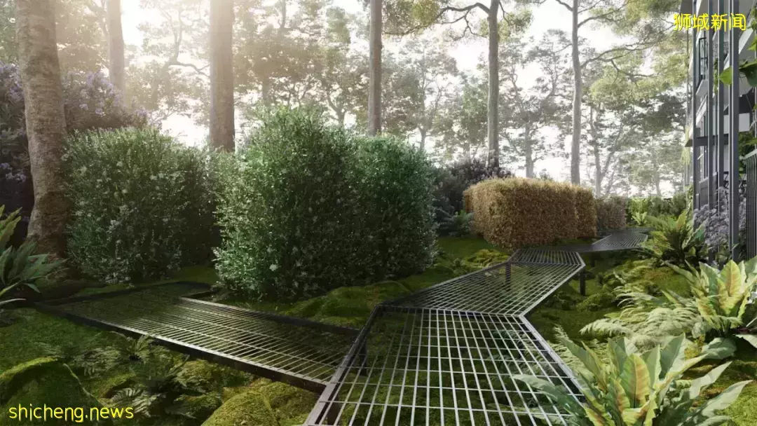 新加坡又出全景观公寓,示范了真正的花园式小区
