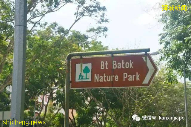 新加坡公园奸杀命案，竟在光天化日下行凶，女子差一点能获救