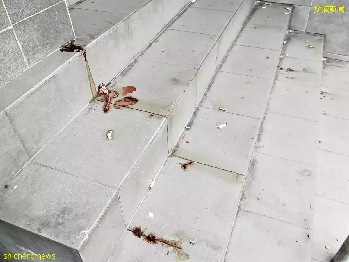 芽籠砍人案 目擊者：凶徒猛砍數刀就逃 受害者是乖男孩