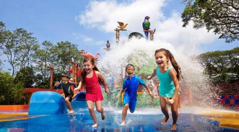 新加坡被评为“世界上最适合孩子成长的国家”，为什么