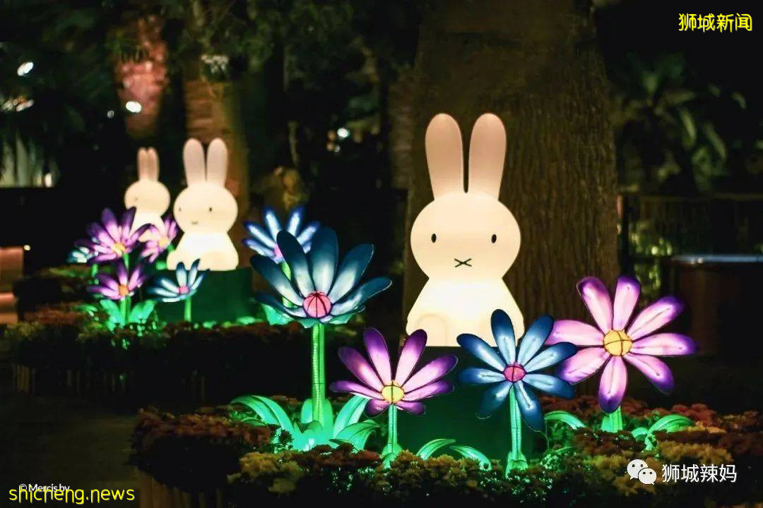限時免費！新加坡濱海灣花穹兒童免費進，還有米菲燈展、祈福天燈、千鶴祈願