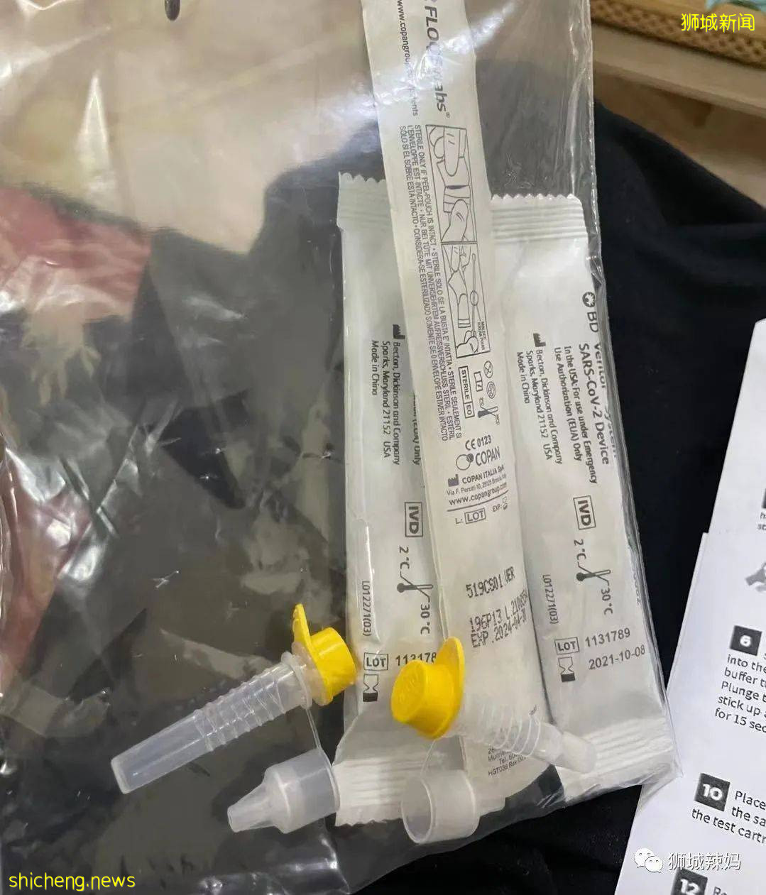 破600！新加坡小學發自檢儀，學校、療養院、商場......感染群持續擴大中