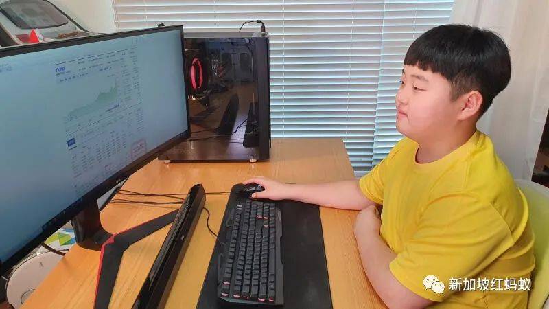 疫情期間越來越多Z世代迷上炒股 12歲男生投資近3萬新元賺回42%