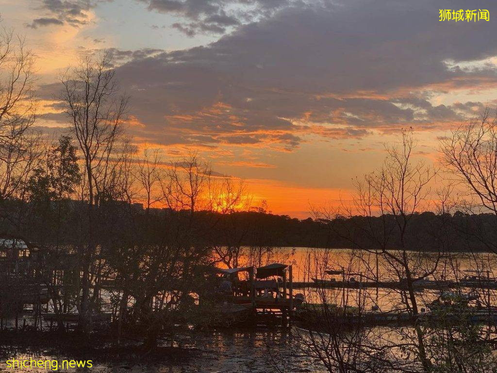 “Jenal Jetty”新加坡最后一个渔村!无水电、无网络🌐不开放给公众进入、只能在义顺水坝遥望😭