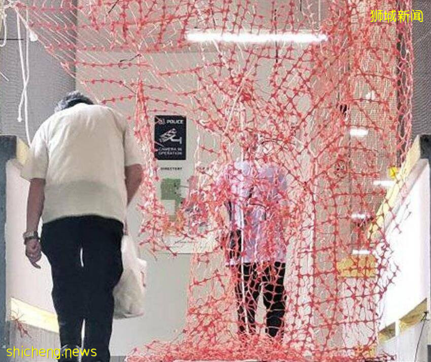 新加坡唐人街成“穿越火线”前线,大批“英雄”穿越疫区