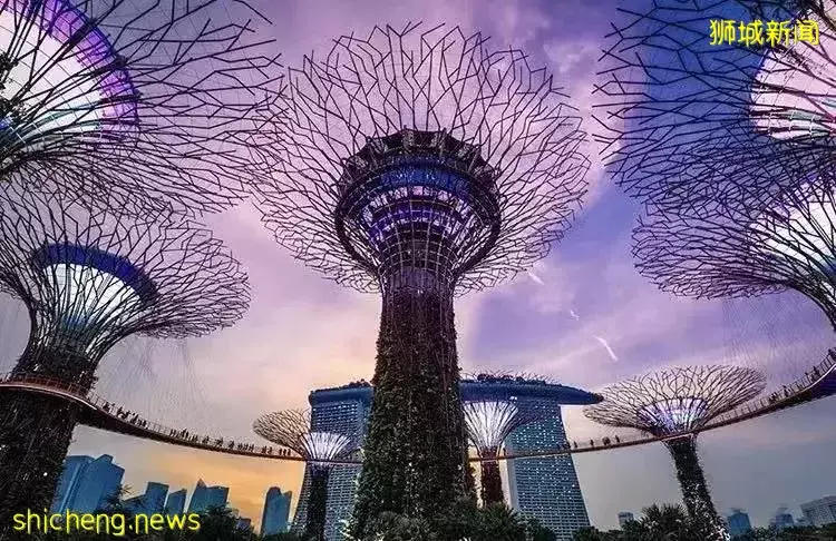 去新加坡旅遊，我保證你連機場都走不出去