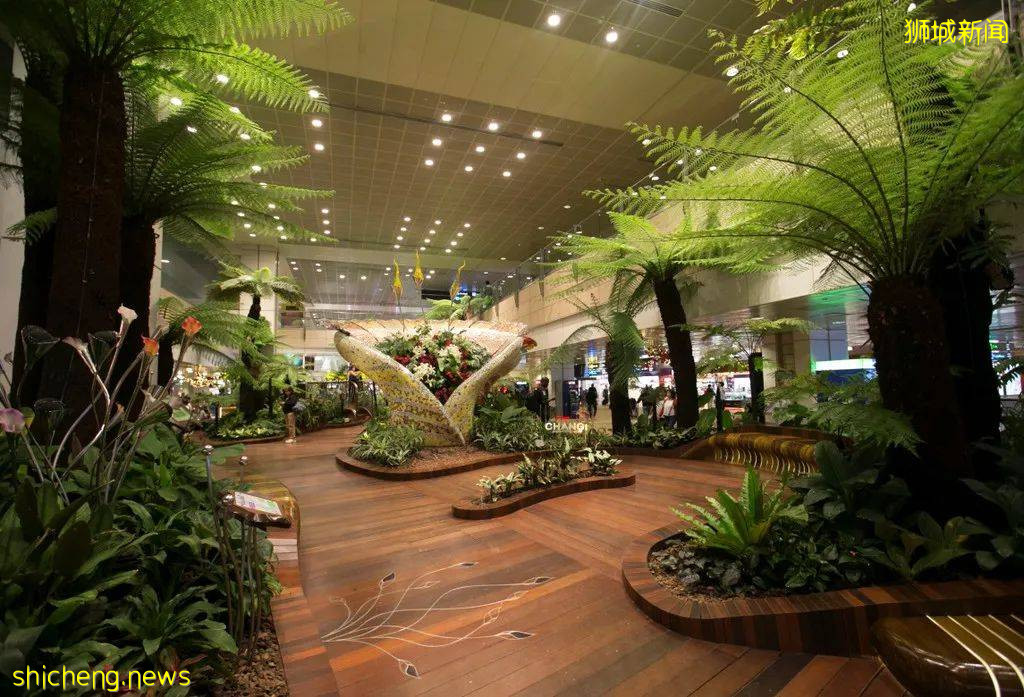 新加坡是如何把世界上最优秀的人才吸引到它的海岸