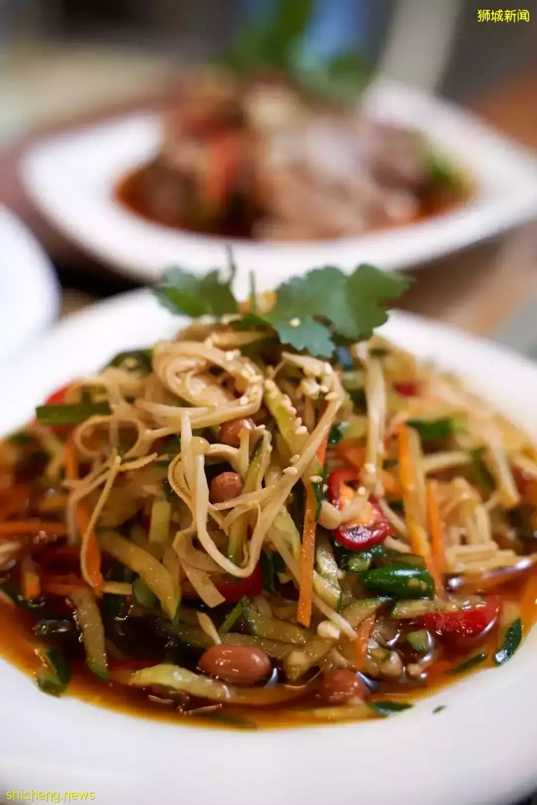 吃到扶墙出!在新加坡,我是这么实现海鲜自由的