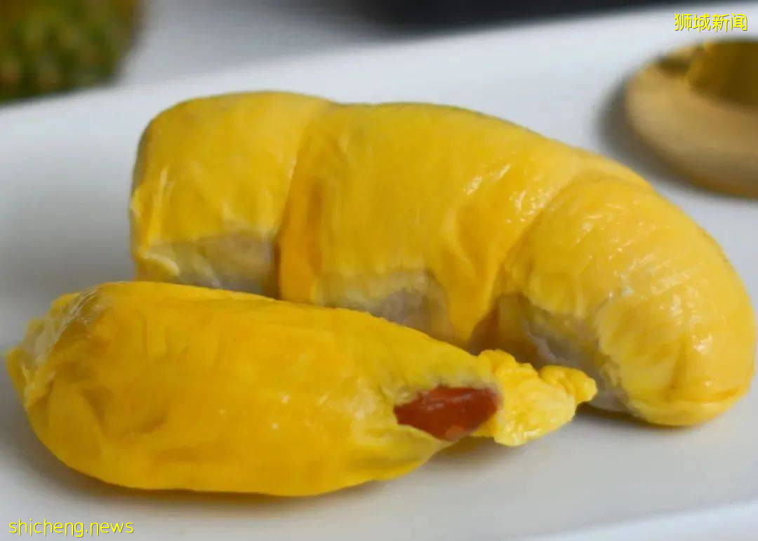 榴梿季到!泰國和馬來西亞的榴梿誰家的最好吃