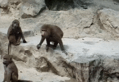 小坡島種草機!春遊野餐正當時,讓大自然治愈你