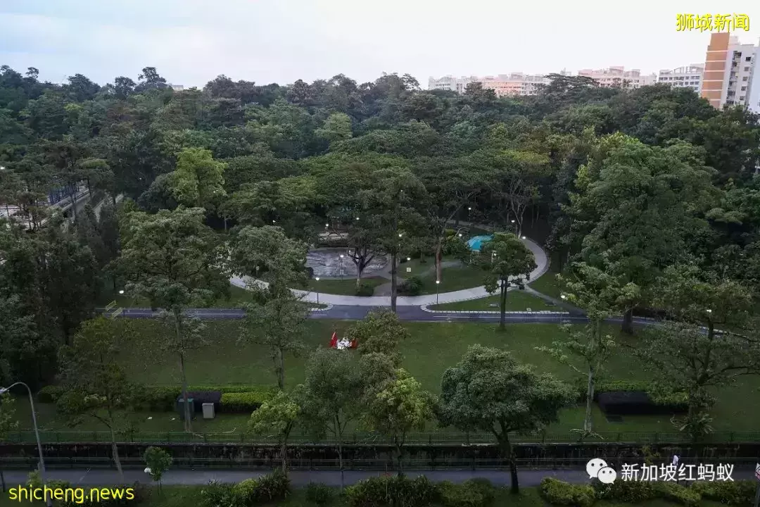 新加坡绿化太成功也很让人苦恼　野生动物招摇过市越来越普遍