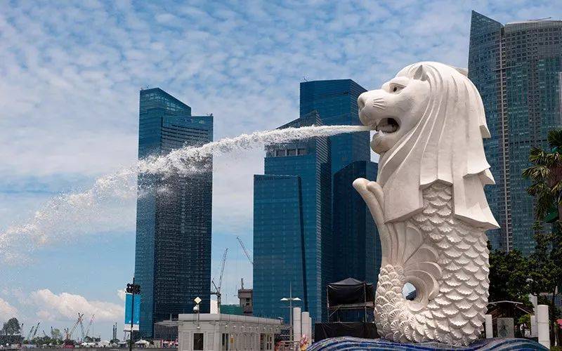 院长日记 之 我们可以向新加坡医疗学习什么