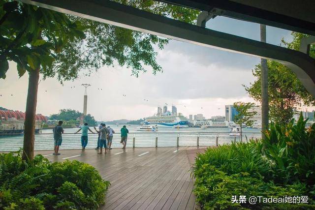 凭什么去新加坡都为它刷屏