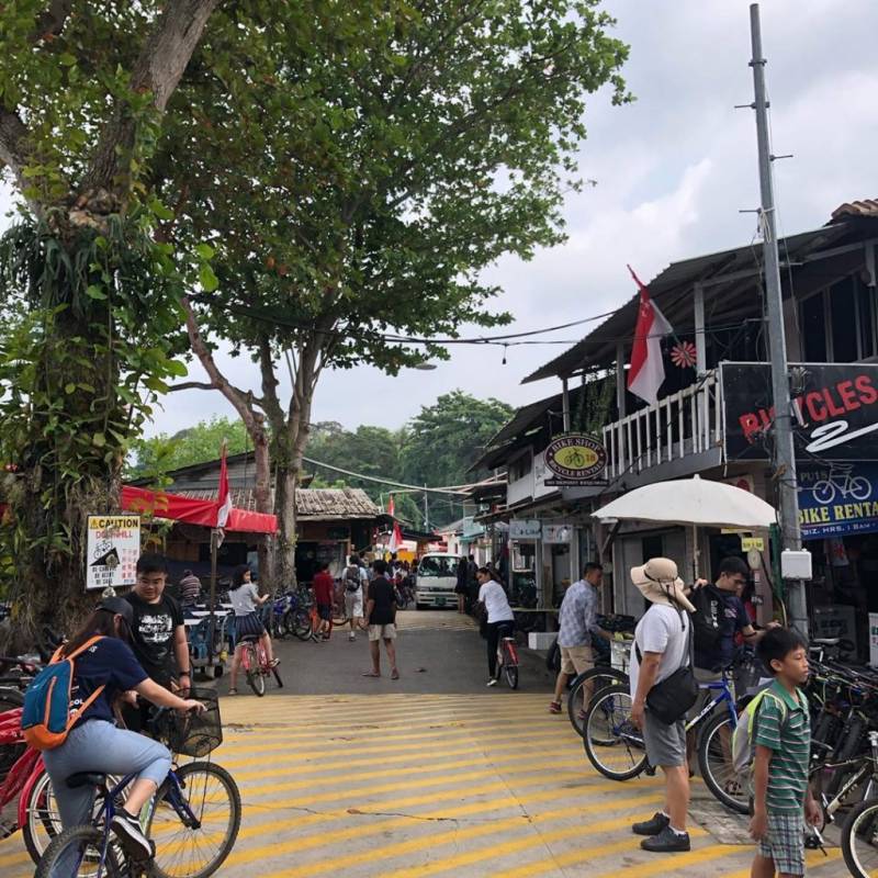 新加坡后花园Pulau Ubin!原始村落环岛骑行和登山,完整攻略+路线清单