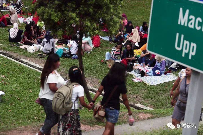 疫情下的女傭百態:要價900月薪,帶男朋友回家睡,廚房發呆3小時!我該怎麽辦