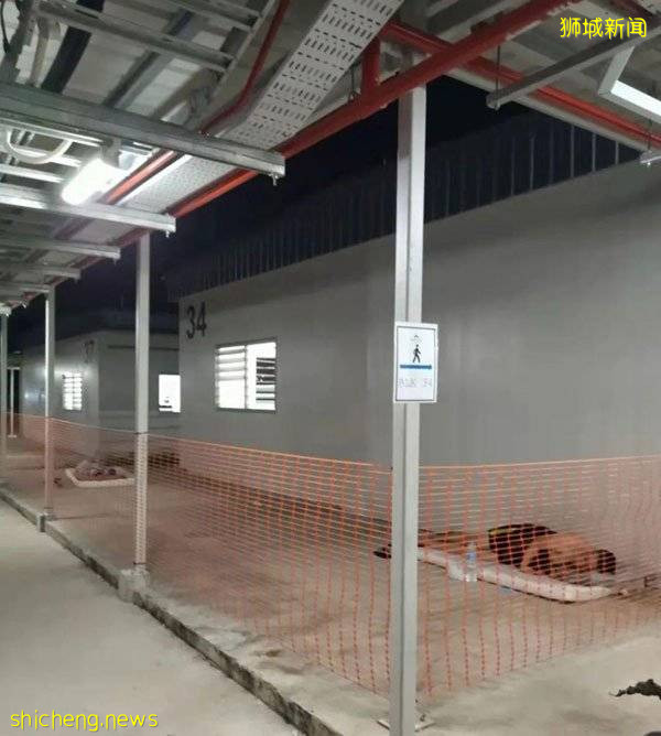 ◤新國CCB◢ 新國客工宿舍太慘了 確診後 不隔離 不治療