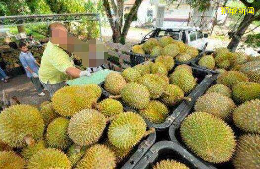 往返新马绿色通道有新动向,大马无良榴梿商贩也有新“操作”