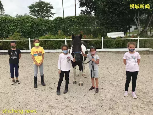 一直被問6月假期營！38個熱門：野炊、繪畫、圍棋、蹦床、編程、魔方、財商都有