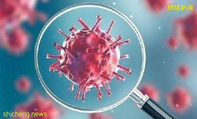 347例確診,新加坡航空展示Covid-19新常態!