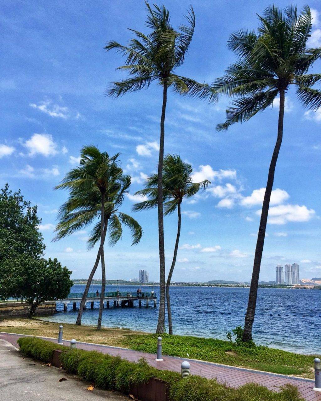 追风去💨 新加坡6大适合放风筝的地点!天气那么好,就要出外跑