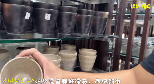 实拍！小伙儿逛新加坡神奇两元店，推荐25样必买好物