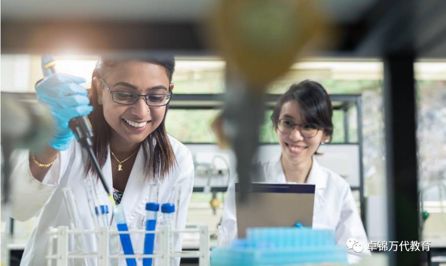 2021新加坡管理發展學院(MDIS)入學指南