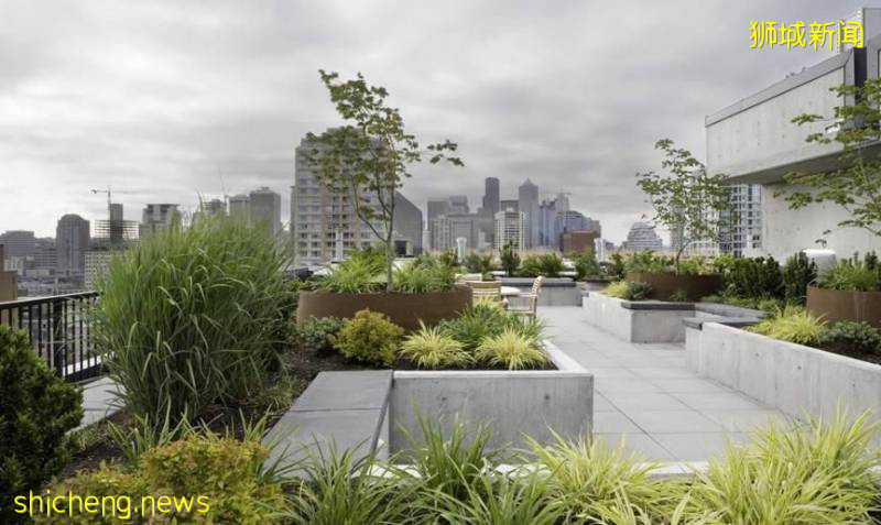 新加坡花園城市的樣子,或許是重慶樓市的未來!