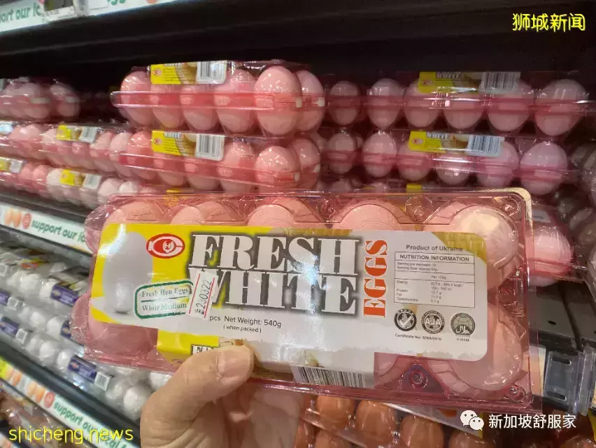 俄罗斯乌克兰战争—新加坡将受哪些影响