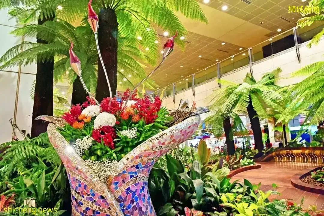 雲遊 顔值即正義！全球最夢幻的機場