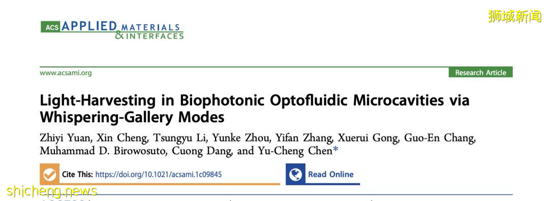 藻类也能发电?NTU 科学家最新研究