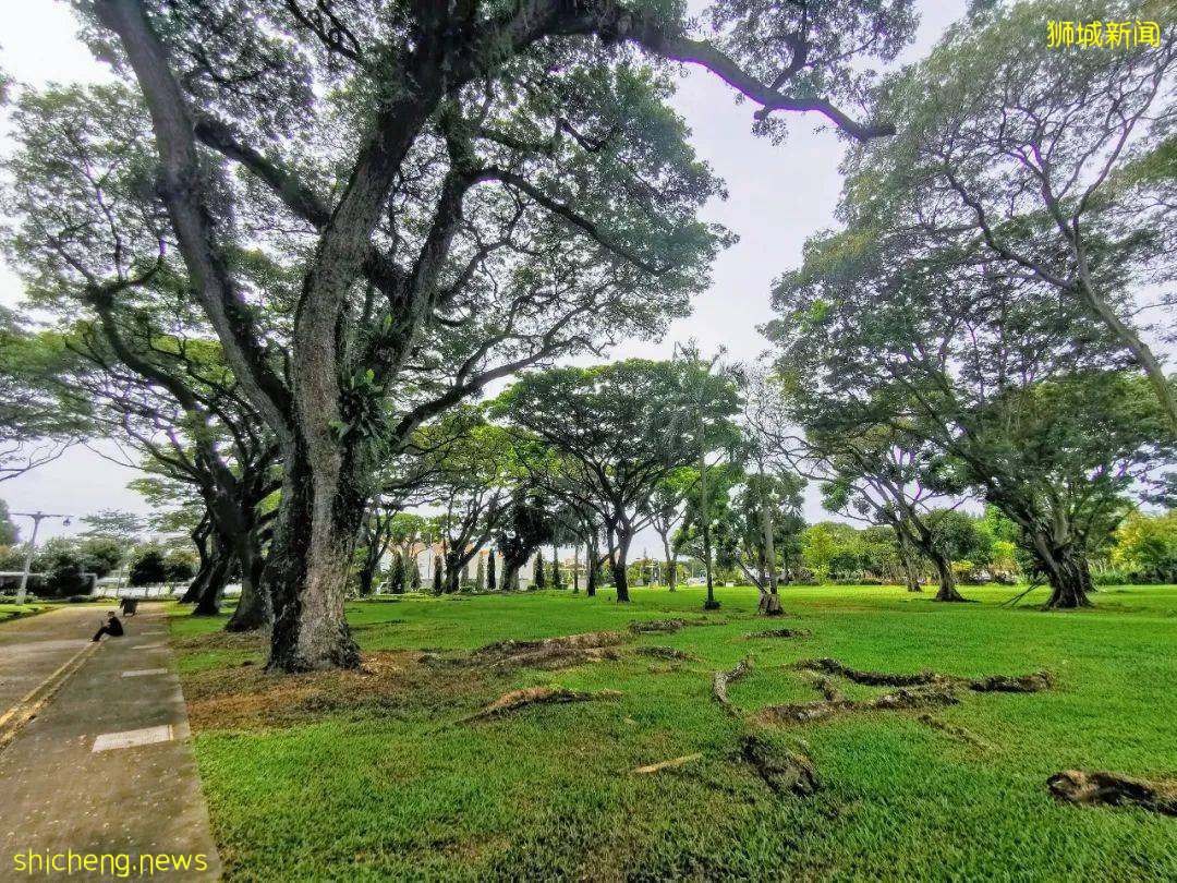 加冷機場（Kallang Airport） .