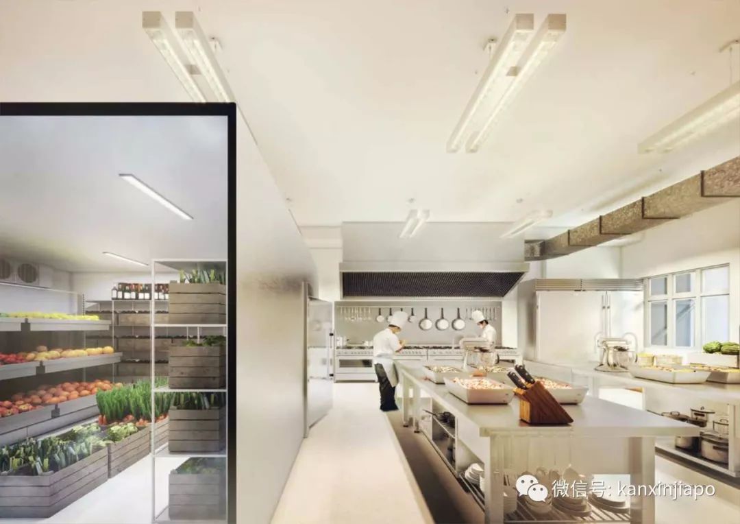 在新加坡投资炒房，不如买厂房